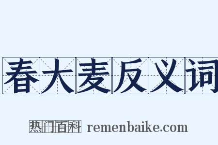 春大麦反义词是什么意思的图片